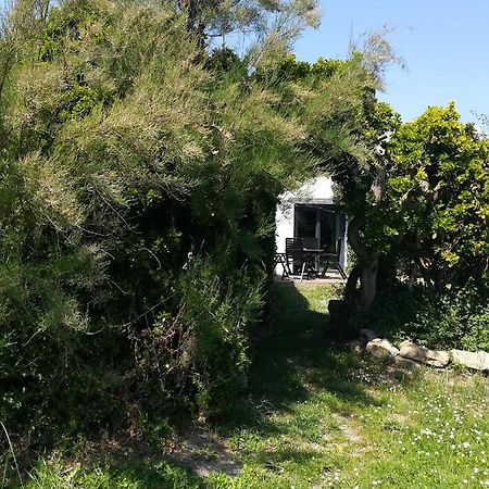 Villa 4. Ty Gevred A 500M De L'Ocean Saint-Jean-Trolimon Exterior foto
